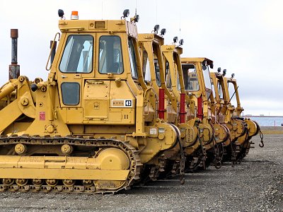 Caribouherde am Dalton Highway